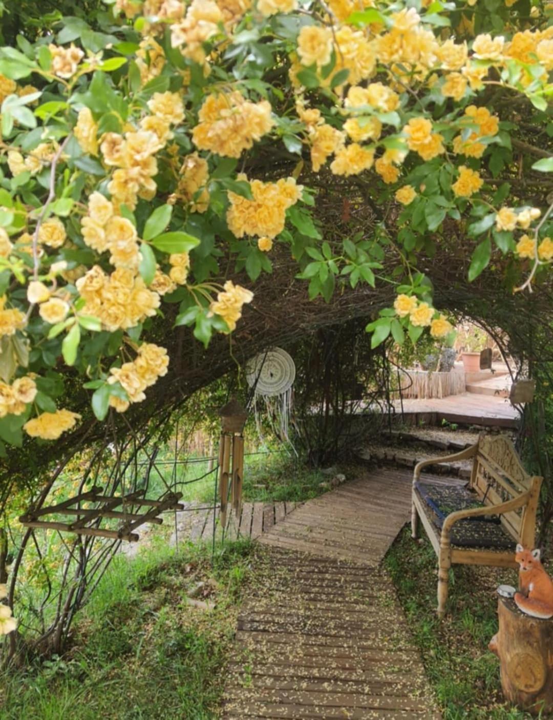 La Lyalis Bed & Breakfast *